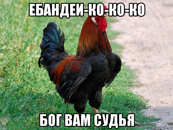 Робыч.... - Бодибилдинг форум AnabolicShops