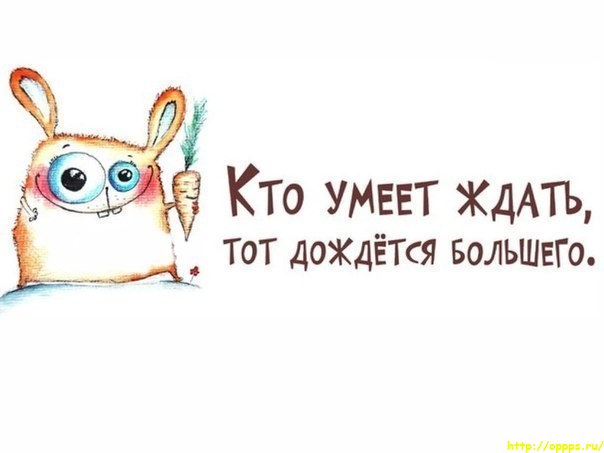 PharmBoy.Biz ВРЕМЕННО НЕ ЗАКАЗЫВАТЬ - Бодибилдинг форум AnabolicShops