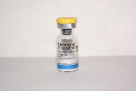 Пептиды Zphc  официальный представитель - Бодибилдинг форум AnabolicShops
