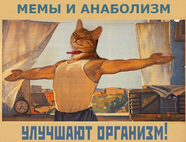 Конкурс "Битва анаболических Мемов!" - Бодибилдинг форум AnabolicShops