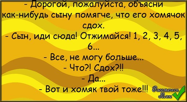 Анекдоты обо всем - Бодибилдинг форум AnabolicShops
