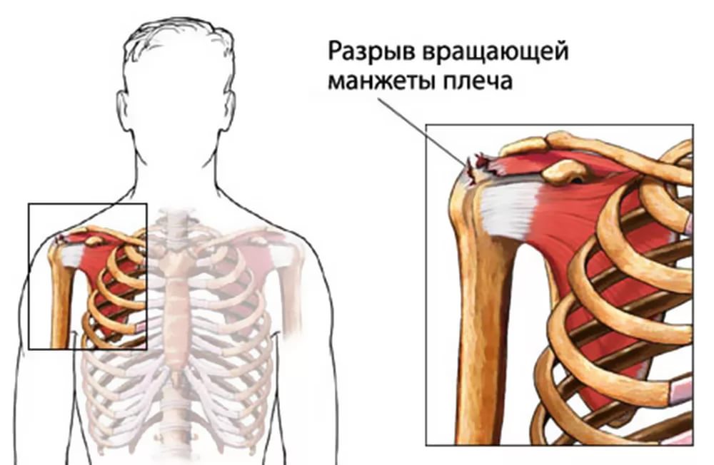 Курилка- разговоры на любые темы - Бодибилдинг форум AnabolicShops