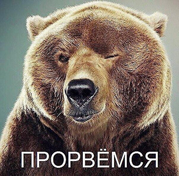 Курилка- разговоры на любые темы - Бодибилдинг форум AnabolicShops