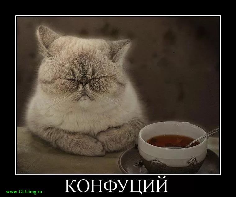 Магазинчик Чая - Бодибилдинг форум AnabolicShops