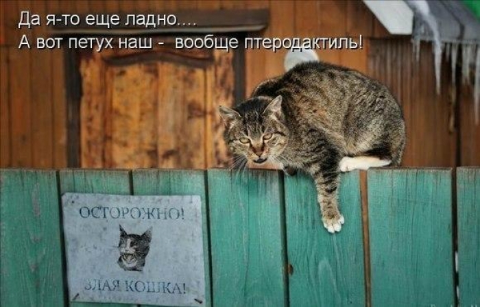 Курилка- разговоры на любые темы - Бодибилдинг форум AnabolicShops