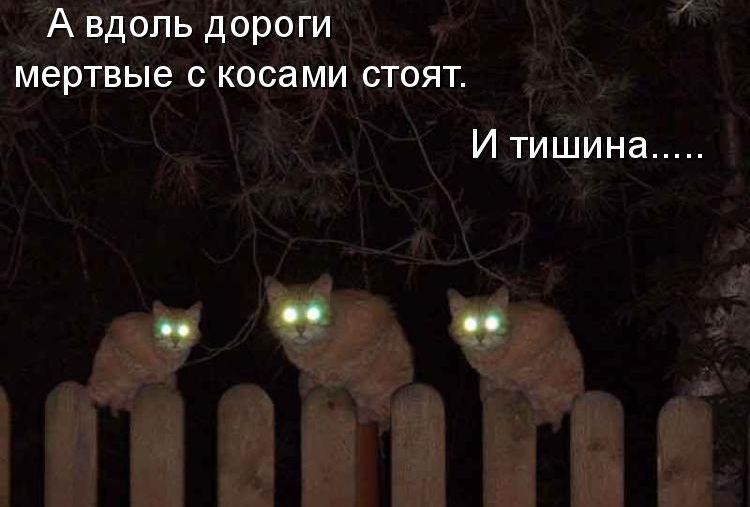 RUSMASSA - Бодибилдинг форум AnabolicShops