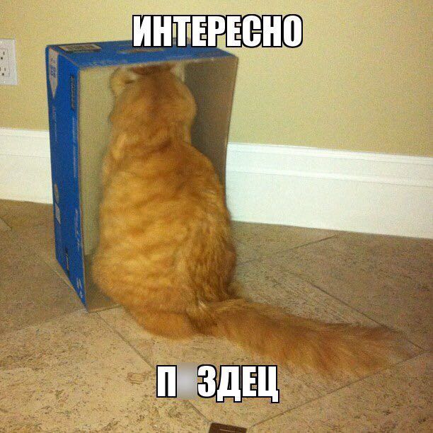 Курилка- разговоры на любые темы - Бодибилдинг форум AnabolicShops