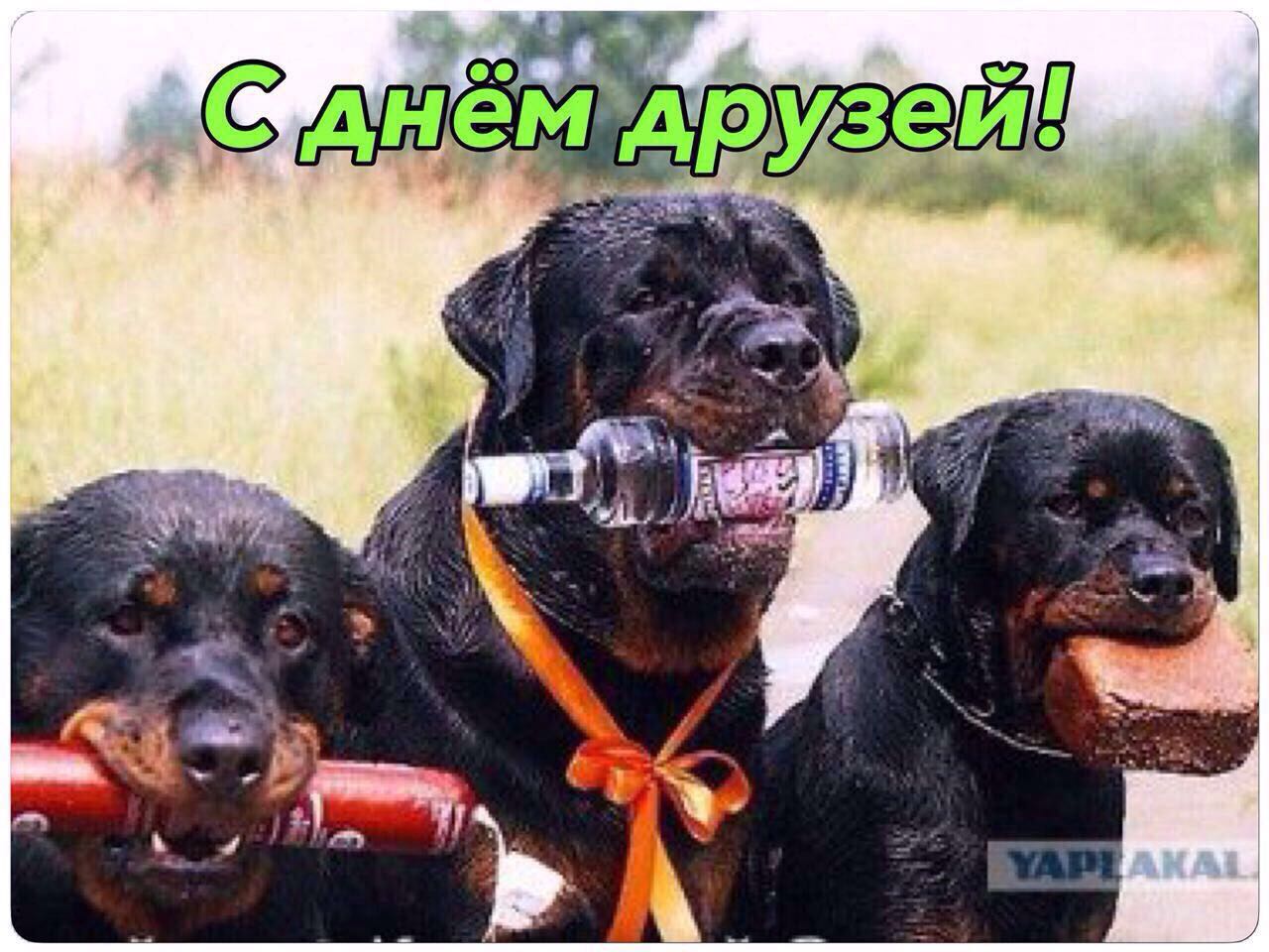 Курилка- разговоры на любые темы - Бодибилдинг форум AnabolicShops