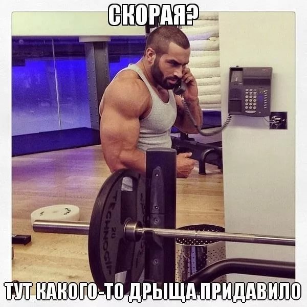 Магазинчик Чая - Бодибилдинг форум AnabolicShops