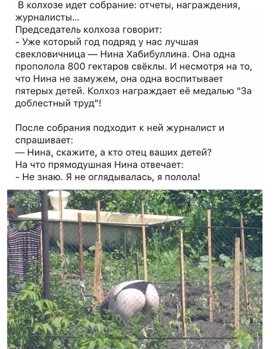 Анекдоты обо всем - Бодибилдинг форум AnabolicShops