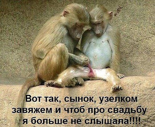 Farma-sklad надежный магазин - Бодибилдинг форум AnabolicShops