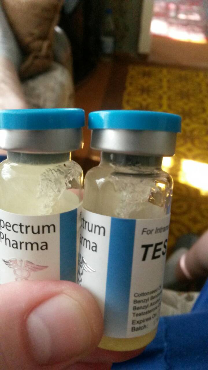 SpectrumPharma представитель в РФ и СНГ - Бодибилдинг форум AnabolicShops