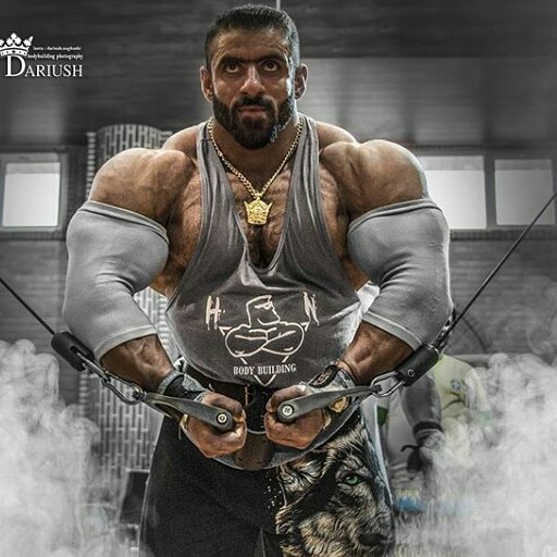 Хади Чупана не будет на турнире Мистер Олимпия-2017 - Бодибилдинг форум AnabolicShops