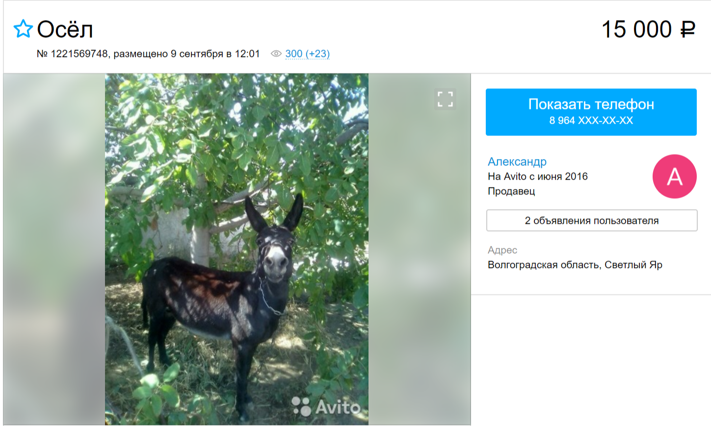 Четкие правила в тематических разделах. - Бодибилдинг форум AnabolicShops