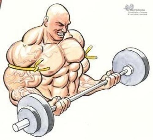 Thomas&Co - Медицинское качество. - Бодибилдинг форум AnabolicShops