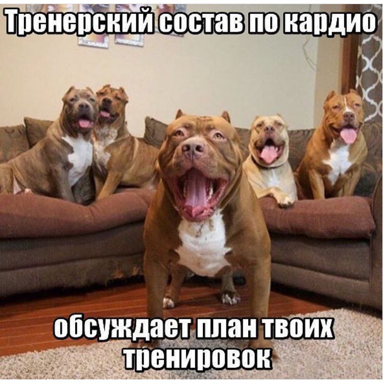 Курилка- разговоры на любые темы - Бодибилдинг форум AnabolicShops