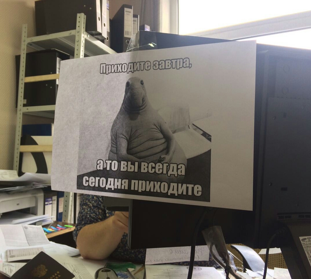 IndiaGenericPower- магазин ПКТ! - Бодибилдинг форум AnabolicShops