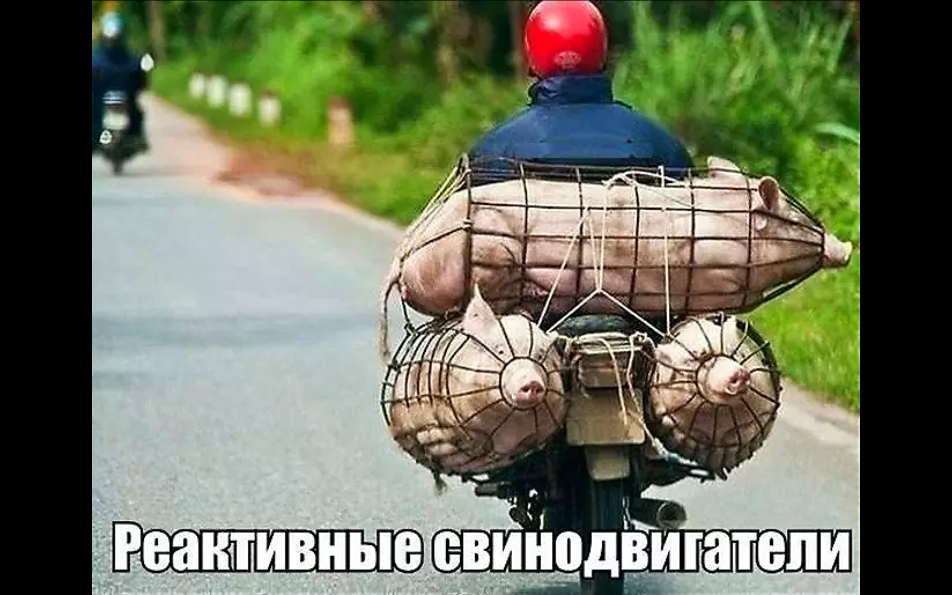 Курилка- разговоры на любые темы - Бодибилдинг форум AnabolicShops