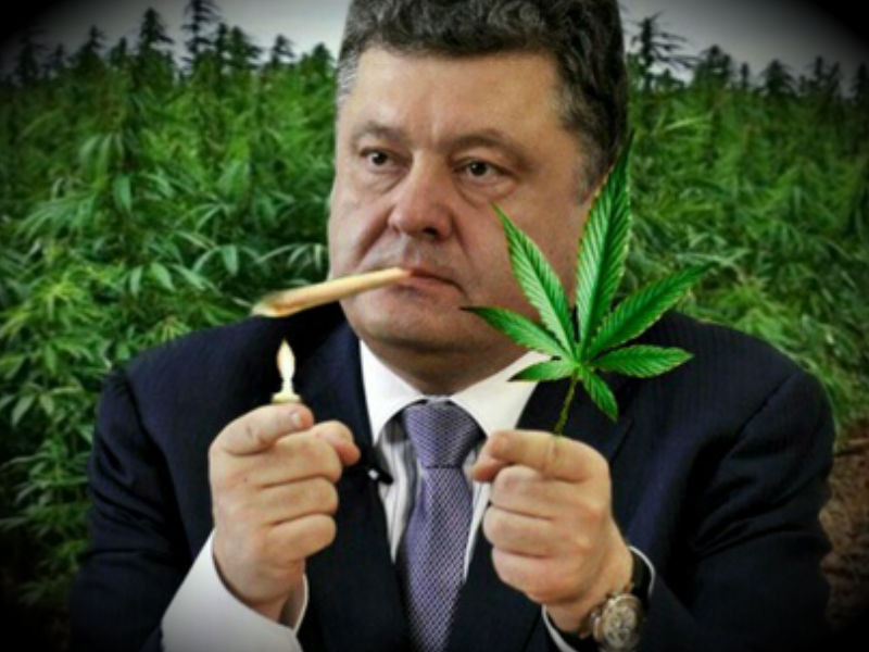 Sterostore.xyz -  Магазин низких цен. - Бодибилдинг форум AnabolicShops
