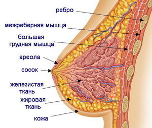 Sterostore.xyz -  Магазин низких цен. - Бодибилдинг форум AnabolicShops