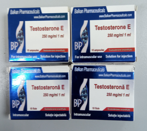 Sterostore.xyz -  Магазин низких цен. - Бодибилдинг форум AnabolicShops