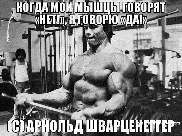 Johnny-Shop.info - Бодибилдинг форум AnabolicShops