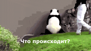 Sterostore.xyz -  Магазин низких цен. - Бодибилдинг форум AnabolicShops