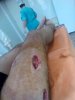 DevilsPharm.in.th - Бодибилдинг форум AnabolicShops