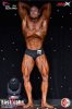 Профессиональный дебют Сергея Таранухо в IFBB Pro закончился в призах - Бодибилдинг форум AnabolicShops