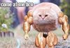 ПРОДАЖИ ОСТАНОВЛЕНЫ, ЗАКАЗЫ НЕ ДЕЛАТЬ!!! - Бодибилдинг форум AnabolicShops