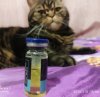 Phoenix medical. Завоз фармы,мега скидки! - Бодибилдинг форум AnabolicShops