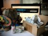 Homosteron.com оф.дилер Zphc|CanadaPeptides|Ergo Mrc - Бодибилдинг форум AnabolicShops