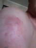 Steroidy.pro   Original pharma+низкие цены. - Бодибилдинг форум AnabolicShops