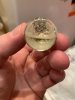 Simplex Pharma. Качественная фармакология. Надежный поставщик. - Бодибилдинг форум AnabolicShops