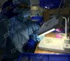 ZPHC - Бодибилдинг форум AnabolicShops