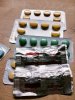 StoreGenerics.ru-Дженерики-все для ПКТ - Бодибилдинг форум AnabolicShops
