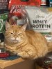 Мои домашние питомцы - Бодибилдинг форум AnabolicShops
