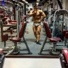 ERGO - Бодибилдинг форум AnabolicShops