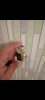 GAINZ SHOP  - Biosom, Vertex, Medil Pharma - Бодибилдинг форум AnabolicShops