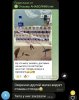АНАБОЛИКИ.net - оф.дилер SP, Zerox, Genetic, Magnus, Lyka ! - Бодибилдинг форум AnabolicShops