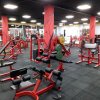 Thomas&Co - Медицинское качество. - Бодибилдинг форум AnabolicShops