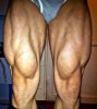 Шорты на осень - Бодибилдинг форум AnabolicShops