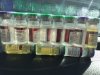 GerthShop.la - магазин спортивной фармакологии N1! - Бодибилдинг форум AnabolicShops