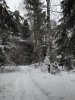 Классики в бодибилдинге. - Бодибилдинг форум AnabolicShops