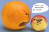 Fruitlabs.org   Всегда отличные цены, отменное качество и быстрые отправки ! - Бодибилдинг форум AnabolicShops